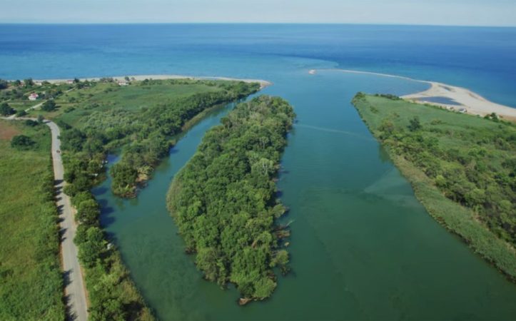 Μια βόλτα στο Δέλτα του Πηνειού...και μαγεύτηκα!!!
